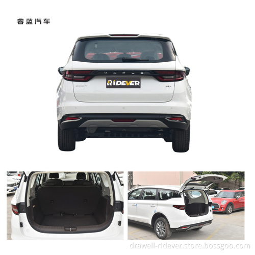 New Adult Use 2021 Ridever Livan Maple Leaf 80 V EV Car New Energy Vehicles Fast Used Car Top Quality Electric Car in Popularity